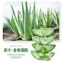 500g Large Bottle Moisturizing Aloe Gel Used All Over The Body Soften Skin Fade Acne Marks Repair Face Care Skin Care Products - SAKLIC