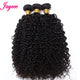 12A Brésilien Humide et Ondulé Paquets Cheveux Humains Vierge 4 Offres de Paquets Extensions de Cheveux Bouclés Afro Kinky