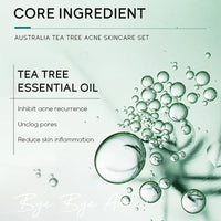 Acne Pore Skin Care Kit Tea Tree Face Cream Cleanser Oil Control Toner Acne Treatment gel Moisturizing Serum Skincare Set Cosmet - SAKLIC