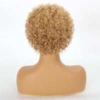 Pixie Cut Wig Human Hair Wigs for Women Glueless Curly Side Part Lace BOB Wig Clearance Perruque Cheveux Humain - SAKLIC